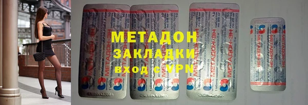 сатива Ельня