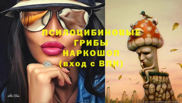 прущие грибы Алексин